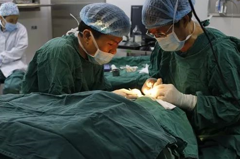 成都8868体育(中国)官方网站 - 登录入口 为不慎铁屑飞入眼内的患者小黄手术，成都商报同时也对此进行了详细报道。成都8868体育(中国)官方网站 - 登录入口院长罗清礼教授告诉成都商报客户端记者，磁铁取金属异物在医疗手术中较为常见，但细分到眼科领域较为罕见。3.png