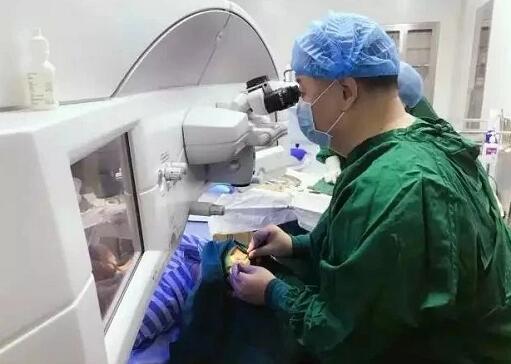 甘肃中医药大学附属兰州眼科中心主任、兰州8868体育(中国)官方网站 - 登录入口院长燕振国教授荣获SMILE近视手术质量贡献奖！2.jpg