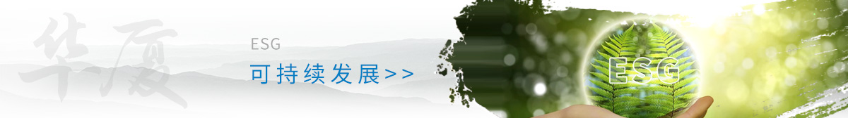 8868体育官网入口